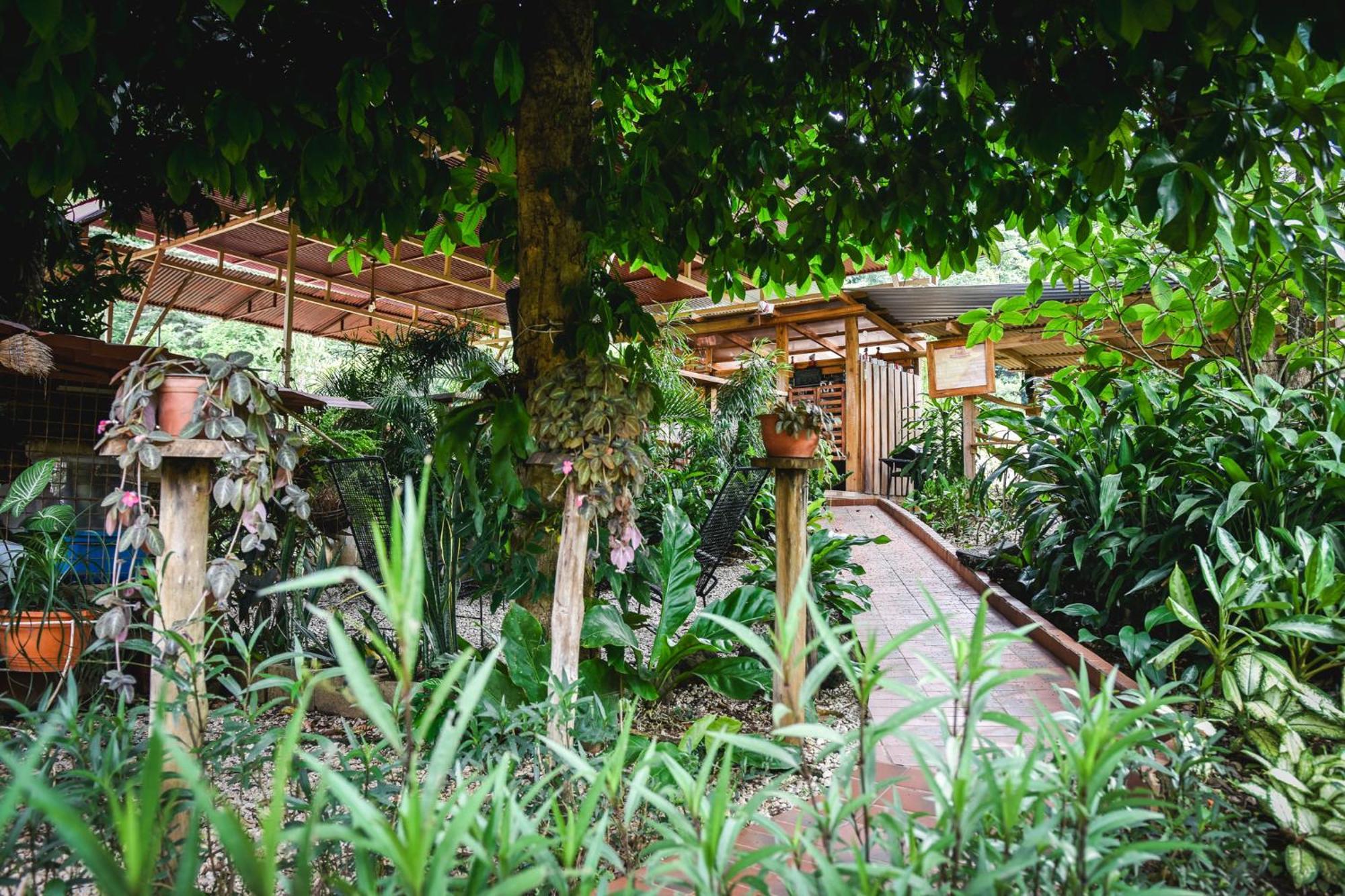 Casa Cora Bed And Breakfast Carmona Exteriér fotografie